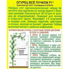 Огурец Все пучком F1 Аэлита