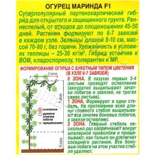 Огурец Маринда F1 Аэлита