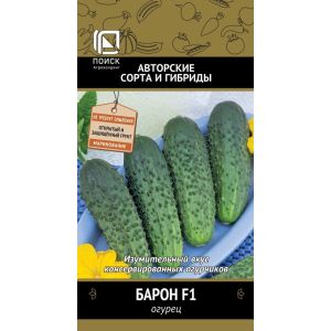 Огурец Барон F1 Поиск