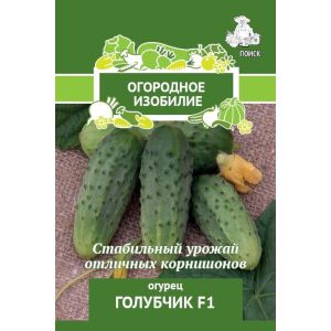 Огурец Голубчик F1 Поиск