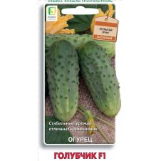 Огурец Голубчик F1 Поиск