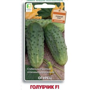 Огурец Голубчик F1 Поиск
