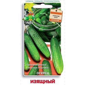Огурец Изящный Поиск