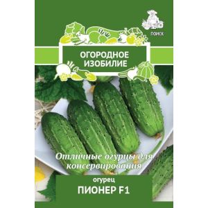 Огурец Пионер F1 Поиск