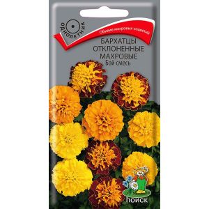 Бархатцы отклоненные махровые Бой смесь 0,4 г ПОИСК