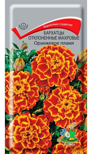 Бархатцы отклоненные махровые Оранжевое пламя (ЦВ), 0,4 гр.