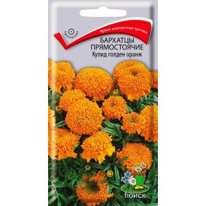 Бархатцы прямостоячие Купид Голден Оранж 0,2 г ПОИСК