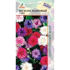 Василек Махровый Гном,  0,4 гр.