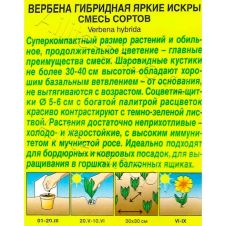 Вербена Яркие искры, смесь окрасок, 0,1 г АЭЛИТА