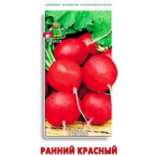 Редис Ранний красный Поиск