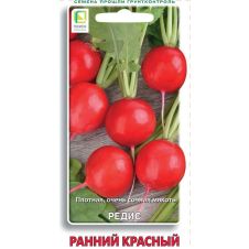 Редис Ранний красный Поиск