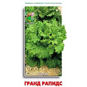 Салат Гранд Рапидс (ЦВ), 1 гр.