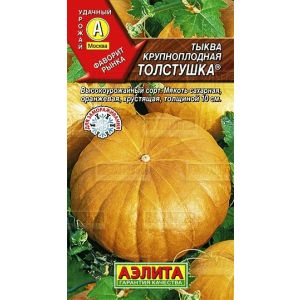 Тыква крупноплодная  Толстушка, 1 г Аэлита