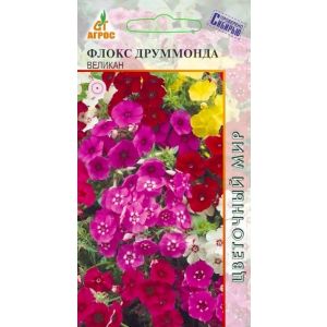 Флокс Друммонда Великан  0,2 гр.