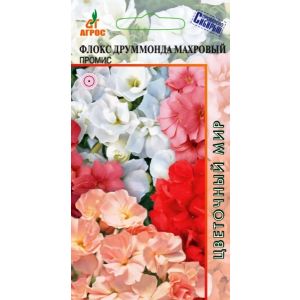 Флокс Махровый Промис  10 шт.