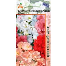 Флокс Махровый Промис  10 шт.