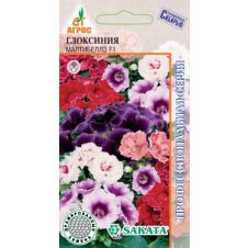 Глоксиния Мальтибеллз F1 5 шт.