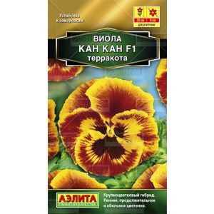 Виола Кан Кан F1 терракота 7 шт.