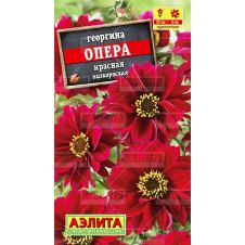 Георгина Опера красная 7 шт АЭЛИТА