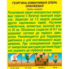 Георгина Опера оранжевая 0,1 г АЭЛИТА