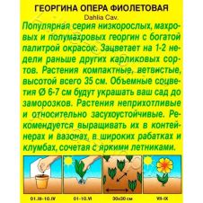 Георгина Опера фиолетовая 7 шт АЭЛИТА