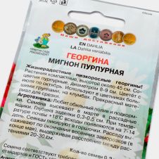 Георгина Мигнон пурпурная 0,2 г ПОИСК