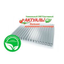 Сотовый поликарбонат 4мм 2,1 х 6 м прозрачный Премиум Actual Bio