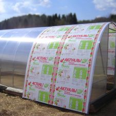 Сотовый поликарбонат 4мм 2,1 х 6 м прозрачный Премиум Actual Bio