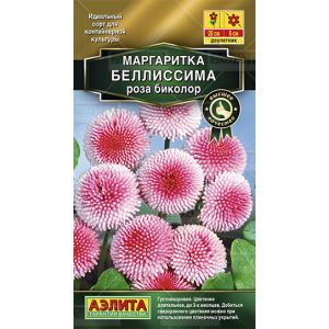 Маргаритка Беллиссима роза биколор 7 шт.