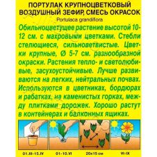 Портулак Воздушный Зефир смесь окрасок 0,1 г АЭЛИТА