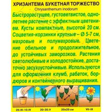 Хризантема Торжество букетная 0,1 г Аэлита