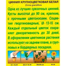 Цинния Крупноцветковая белая 0,3 г Аэлита