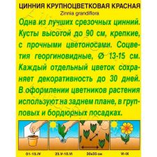 Цинния Крупноцветковая красная 0,3 г Аэлита