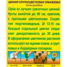 Цинния Крупноцветковая оранжевая 0,3 г Аэлита