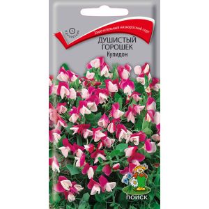 Душистый горошек Купидон 1 гр.