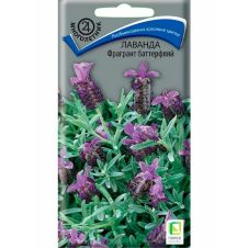 Лаванда Фрагрант баттерфляй 20 шт Поиск