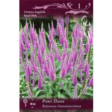 Вероника длиннолистная Роял Пинк 1 шт.