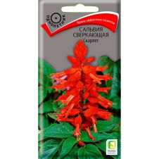 Сальвия сверкающая Скарлет 0,3 г Поиск