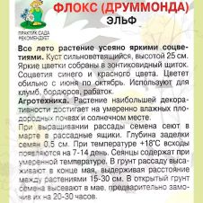 Флокс Эльф 0,1 г Поиск