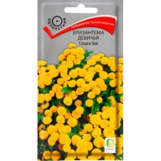 Хризантема девичья Голден бол 0,05 г Поиск