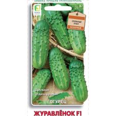 Огурец Журавленок F1 Поиск