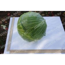 Капуста белокочанная Килатон F1, 0,2 г Партнер