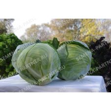 Капуста белокочанная Килатон F1, 0,2 г Партнер