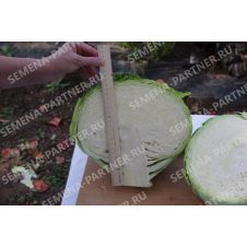 Капуста белокочанная Килатон F1, 0,2 г Партнер