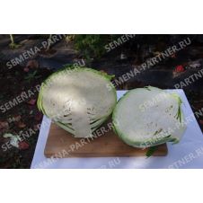 Капуста белокочанная Килатон F1, 0,2 г Партнер