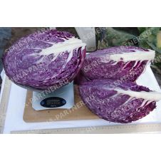 Капуста краснокочанная Бенефис F1, 0,3 г Партнер