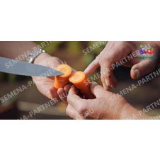 Морковь Болеро F1, 0,5 г Партнер