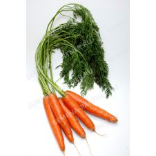 Морковь Болеро F1, 0,5 г Партнер