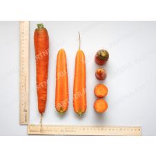 Морковь Болеро F1, 0,5 г Партнер