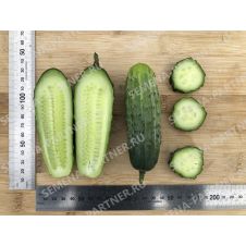 Огурец Байконур F1 Партнер